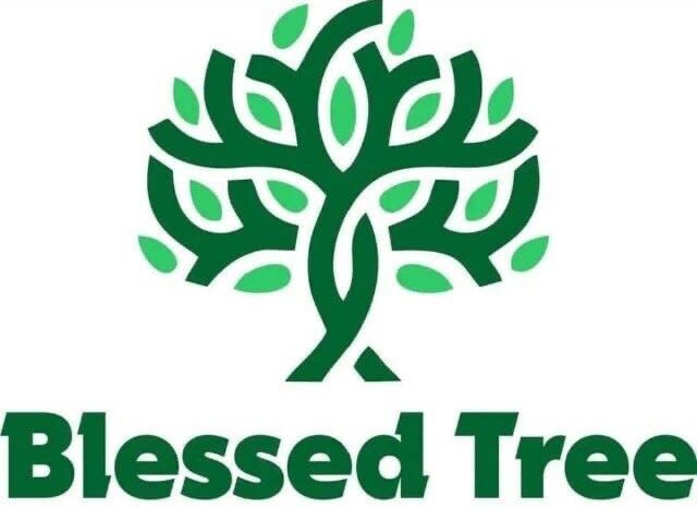 photo_2025-11-15_11-31-40