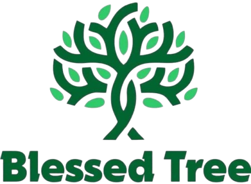 photo_2025-11-15_11-31-40-removebg-preview-removebg-preview